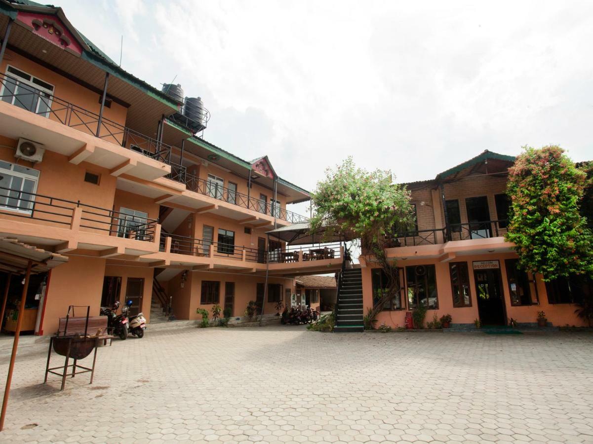 Spot On 486 Hotel Holy Lodge Sauraha Buitenkant foto
