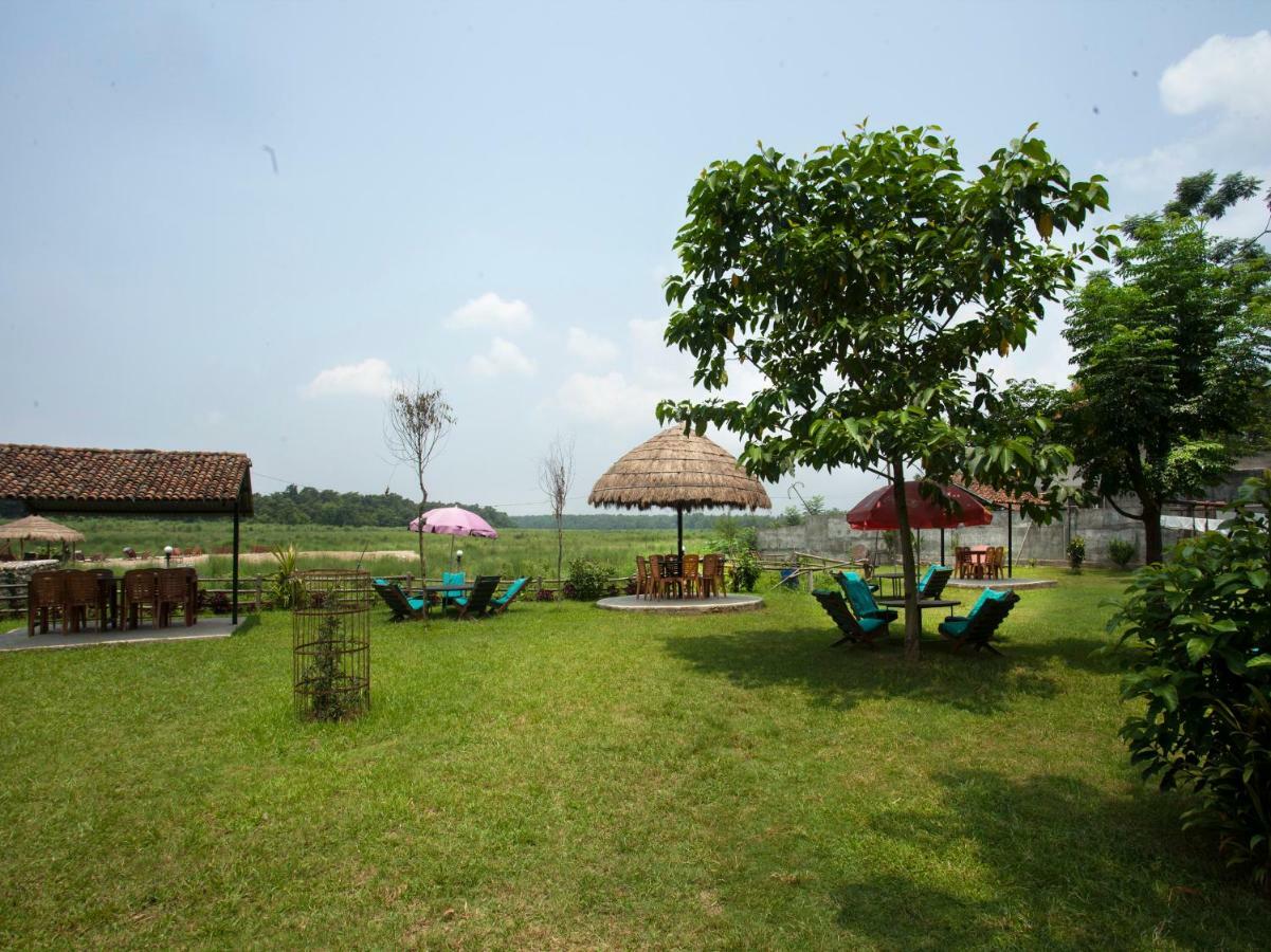 Spot On 486 Hotel Holy Lodge Sauraha Buitenkant foto