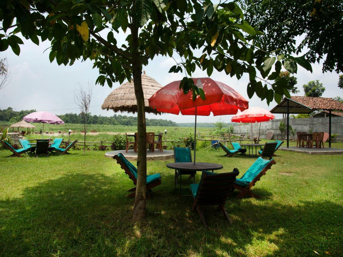 Spot On 486 Hotel Holy Lodge Sauraha Buitenkant foto