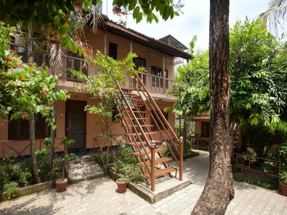 Spot On 486 Hotel Holy Lodge Sauraha Buitenkant foto